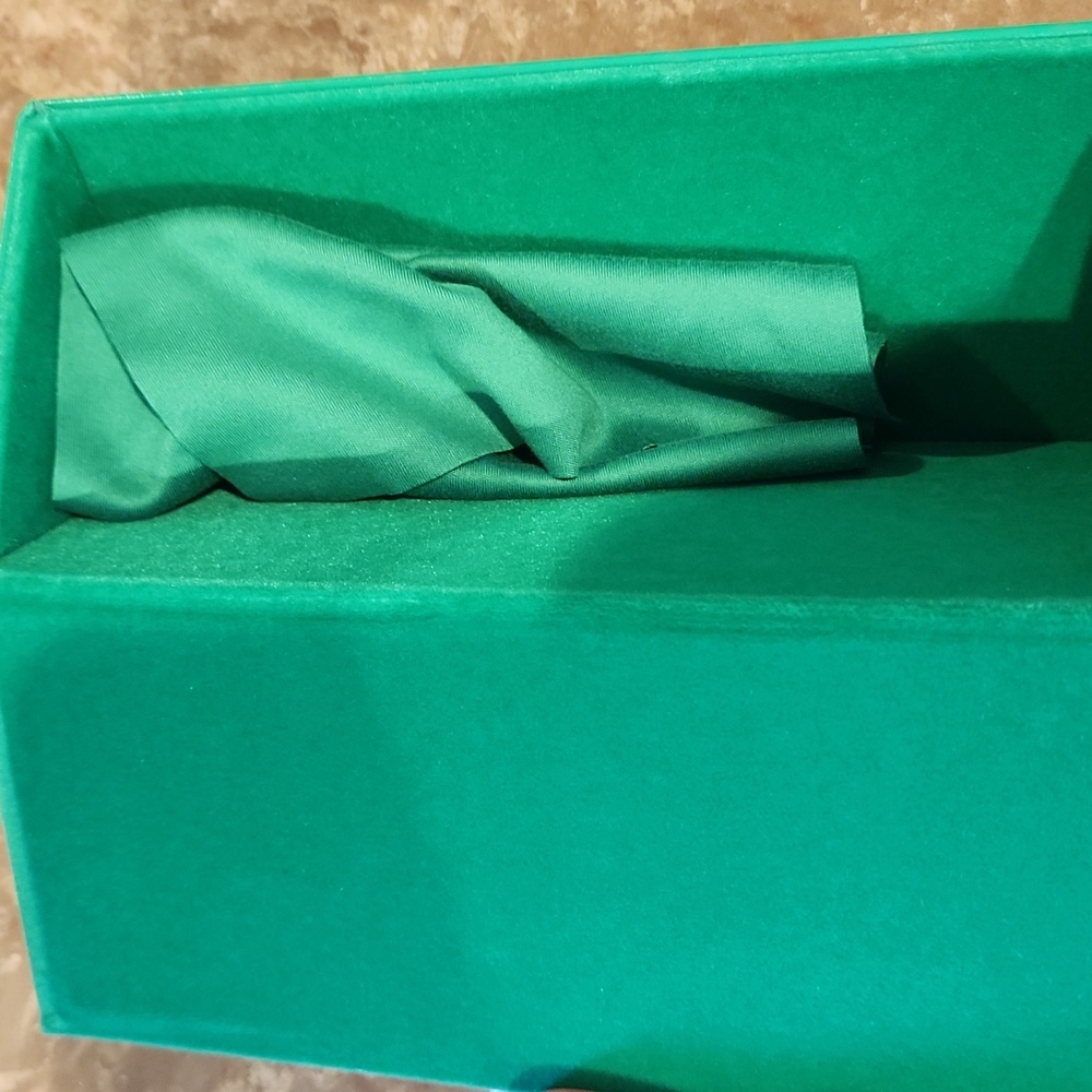 Bottega Veneta Emerald Green Sunglass Case - Picture 3 of 7